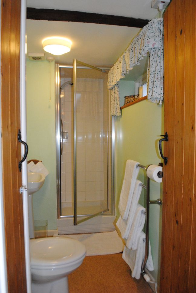 Shower room and toilet