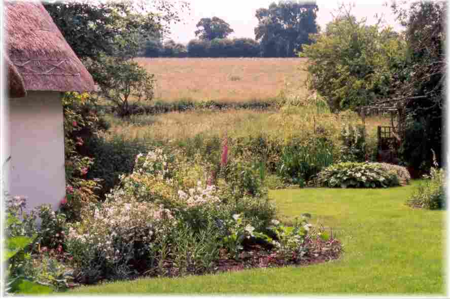 The View from Stable Cottage